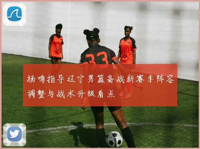 杨鸣指导辽宁男篮备战新赛季阵容调整与战术升级看点