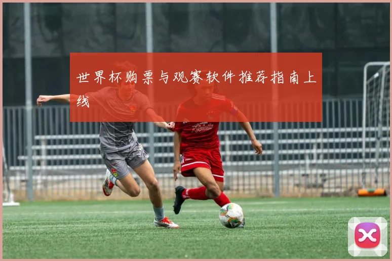世界杯购票与观赛软件推荐指南上线