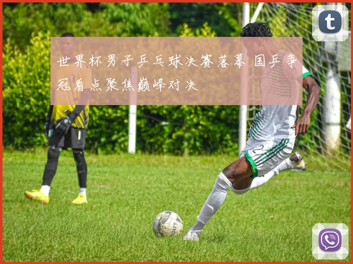 世界杯男子乒乓球决赛落幕 国乒争冠看点聚焦巅峰对决